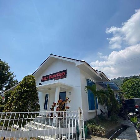 Villa Bromo Potato 2 Probolinggo Exteriér fotografie